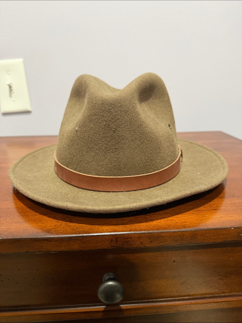 Vintage Olive Wool Felt Fedora with Brown Leather Band